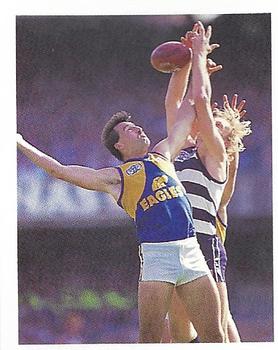 1993 Select AFL Stickers #238 Paul Harding Front